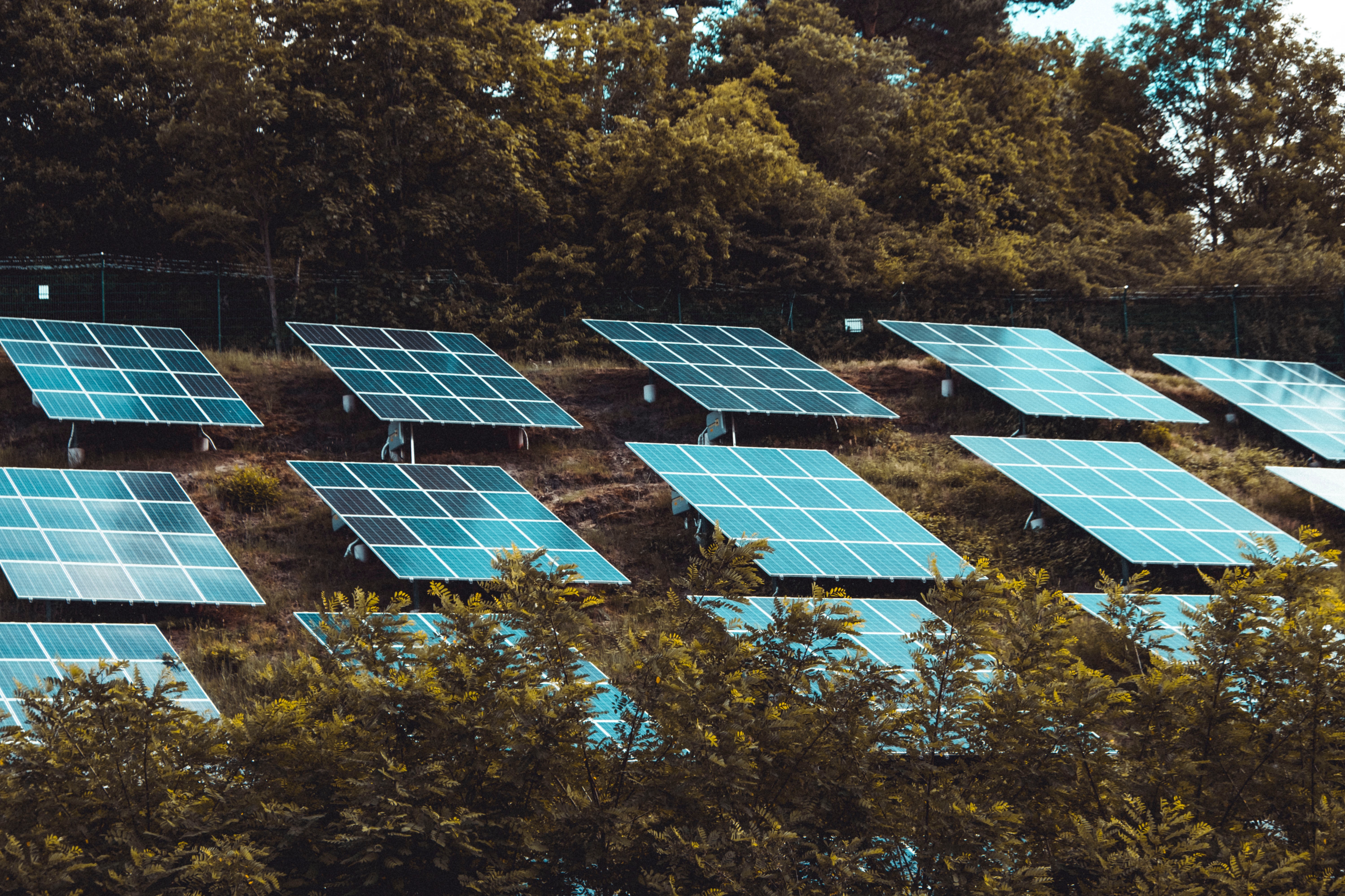 Solar panels_Moritz Kindler_Unsplash