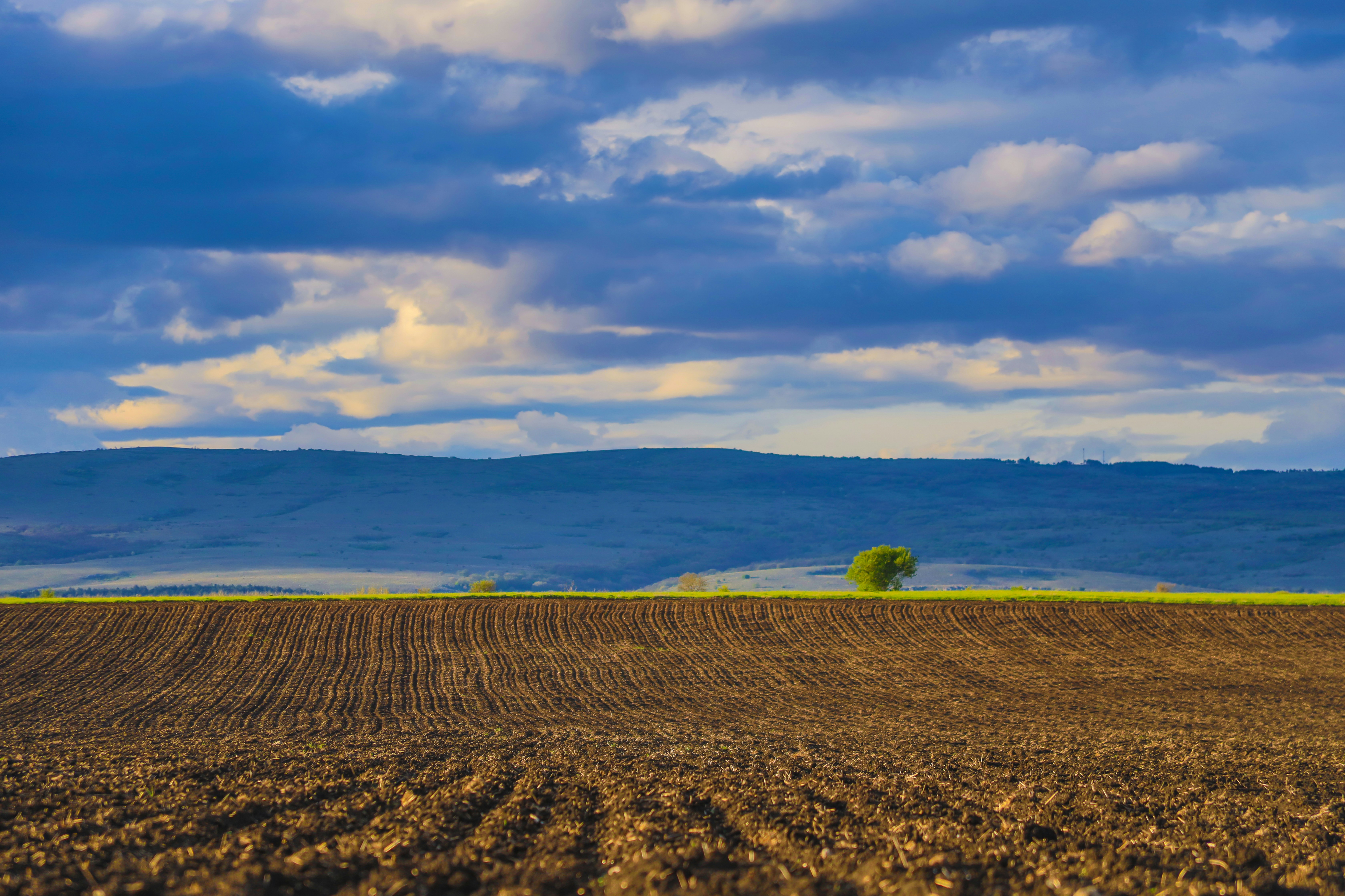 Land Sector and Removals Guidance & Forest Carbon Accounting Request for Information: What You Need to Know 