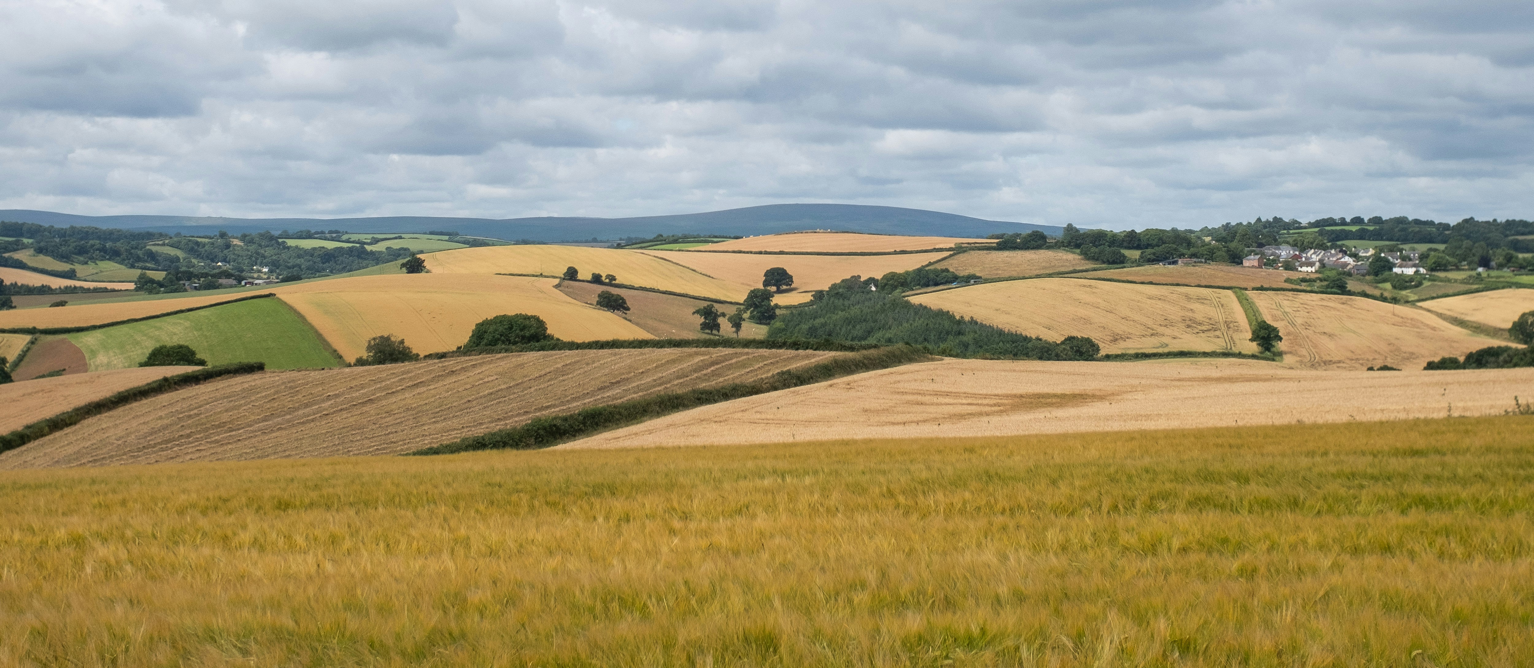 GHG Protocol Launches Land Sector (LSR) and Removals Guidance