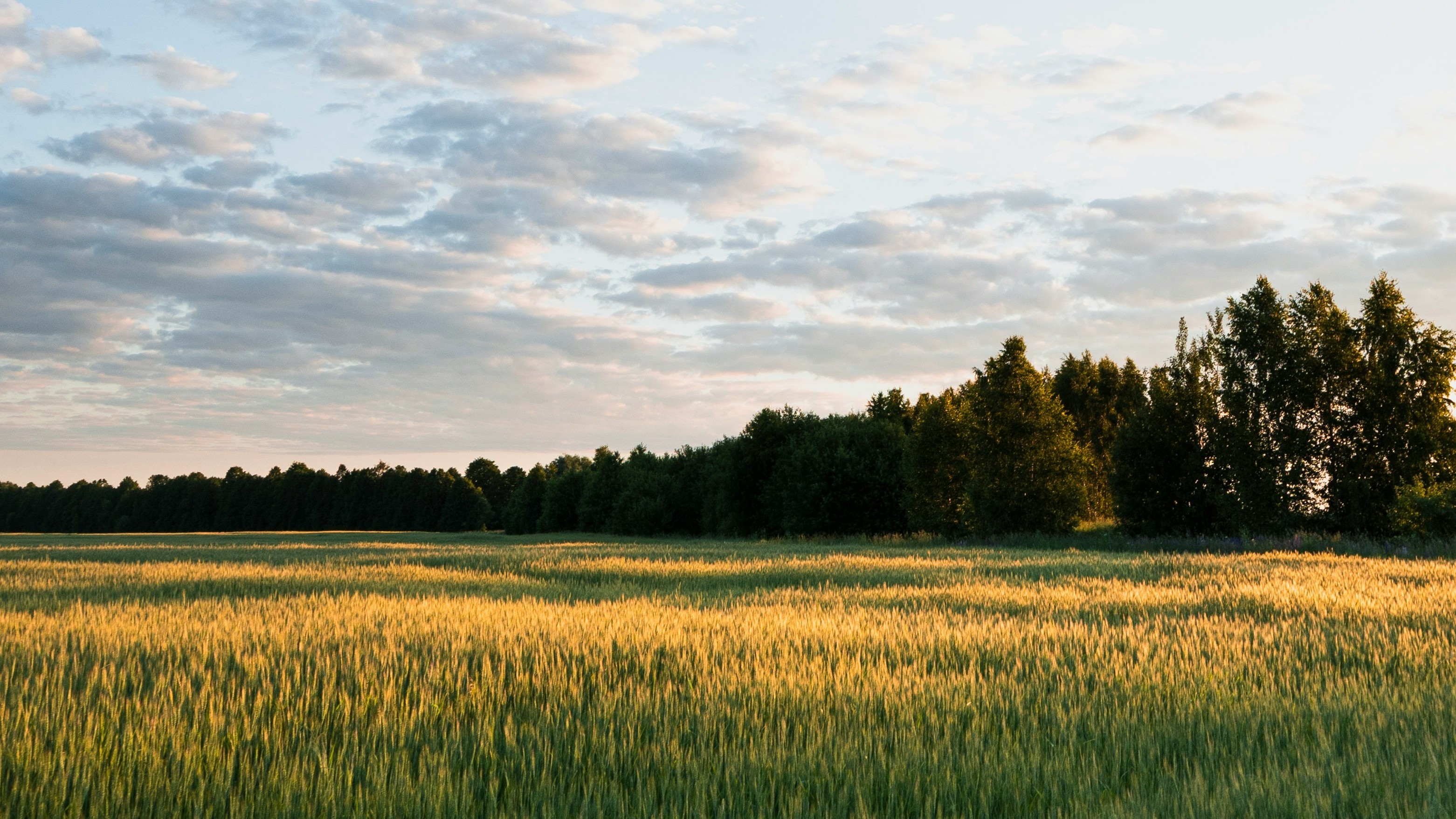 Roman-Grachev-Unsplash-August-Newsletter