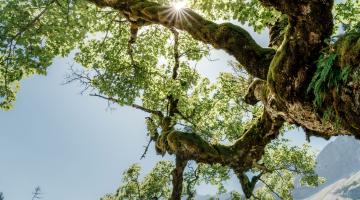 ISO-GHG Protocol partnership FAQ