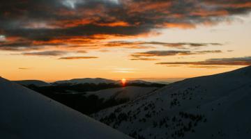 October 2025 Newsletter