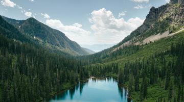June Newsletter Blog