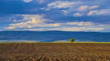 Land Sector and Removals Guidance & Forest Carbon Accounting Request for Information: What You Need to Know 