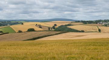 GHG Protocol Launches Land Sector (LSR) and Removals Guidance