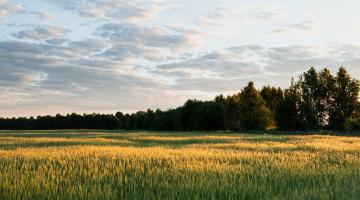 Roman-Grachev-Unsplash-August-Newsletter