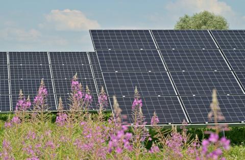 Solar_Andres Siimon_Unsplash